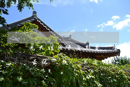 光大信用卡逾期要還全額(光大銀行信用卡還最低還款額算逾期嗎)