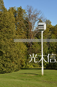 光大信用卡逾期計算(光大銀行 信用卡 寬限期)