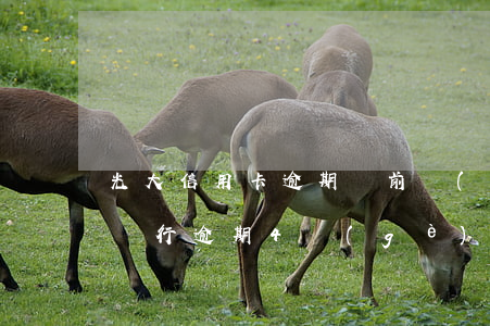 光大信用卡逾期訴前調(diào)解 光大銀行逾期4個(gè)月 昨天打電話給我說要起訴