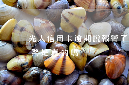 光大信用卡逾期說報警了(光大銀行信用卡報警是真的嗎)