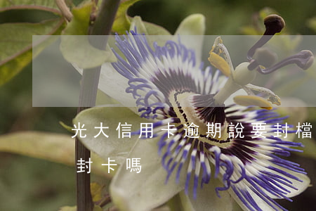 光大信用卡逾期說要封檔(光大逾期半個月會封卡嗎)