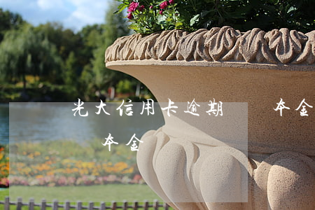 光大信用卡逾期讓還本金(光大信用卡逾期讓還本金)