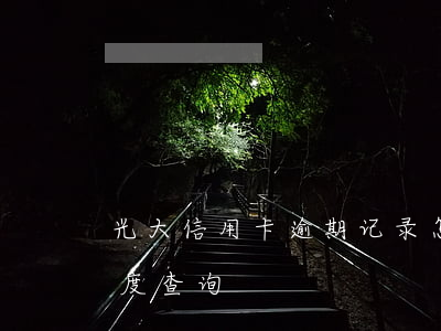 光大信用卡逾期记录怎么查-光大信用卡进度查询