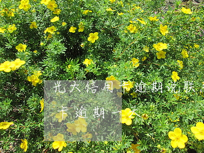 光大信用卡逾期说联系紧急联系人(光大信用卡 逾期一天)