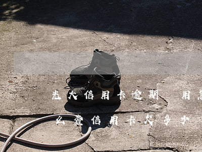 光大信用卡逾期費用怎么查詢-光大銀行怎么查信用卡欠多少錢