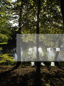 光大信用卡逾期賬單去哪查(光大銀行賬單日怎么查)