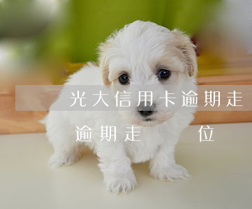 光大信用卡逾期走訪單位評語-光大信用卡逾期走訪單位評語