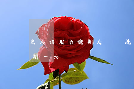 光大信用卡逾期走訴訟流程圖(光大信用卡 逾期一天)