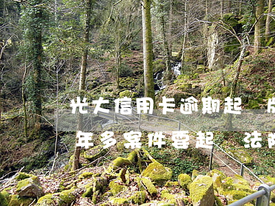 光大信用卡逾期起訴版本(光大信用卡逾期一年多案件要起訴法院)