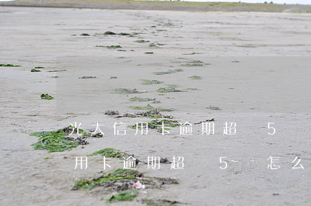 光大信用卡逾期超過5萬怎么處理-光大信用卡逾期超過5萬怎么處理的