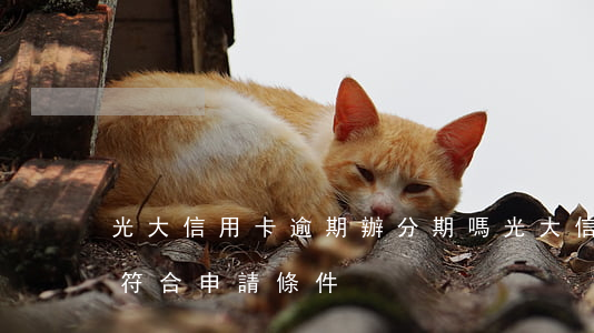 光大信用卡逾期辦分期嗎(光大信用卡分期不符合申請條件)