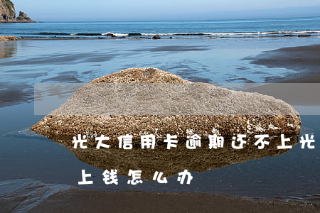 光大信用卡逾期还不上(光大信用卡逾期还不上钱怎么办)
