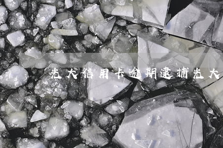 光大信用卡逾期逮捕(光大逾期被起訴了)