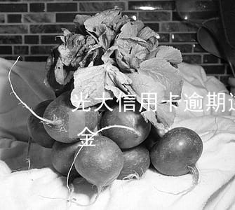 光大信用卡逾期違約金(光大信用卡逾期違約金)