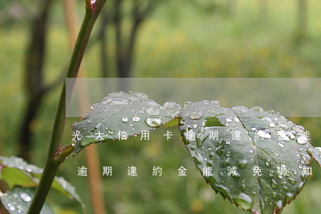 光大信用卡逾期違約金能減免嗎 光大信用卡逾期違約金能減免嗎知乎