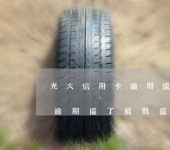 光大信用卡逾期還了最低還款-光大信用卡逾期還了最低還款