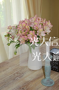 光大信用卡逾期還本金是還整數(shù)(光大逾期如何只還本金)