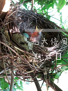 光大信用卡逾期還本金百分之三十-光大逾期后,還了最低但是銀行要求我還全額