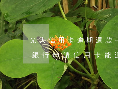 光大信用卡逾期還款一次上征信(有逾期光大銀行申請信用卡能通過嗎)