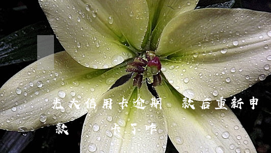光大信用卡逾期還款后重新申請 光大銀行還款還錯卡了咋辦