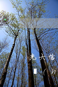 光大信用卡逾期還能用(光大信用卡逾期2天會(huì)怎樣)