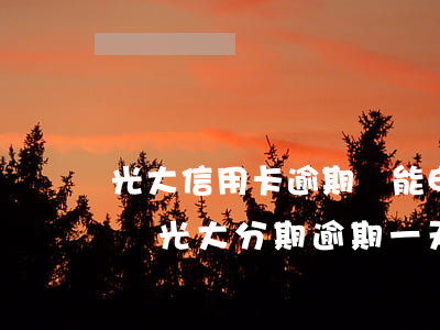 光大信用卡逾期還能申請(qǐng)分期嗎(光大分期逾期一天怕不怕)