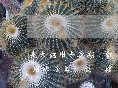 光大信用卡逾期還能辦理儲蓄卡嗎-光大信用卡逾期還能辦理儲蓄卡嗎現(xiàn)在