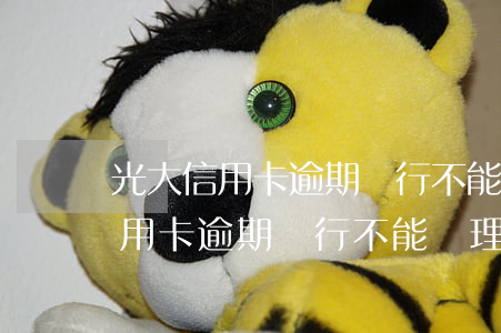 光大信用卡逾期銀行不能辦理新卡-光大信用卡逾期銀行不能辦理新卡嗎