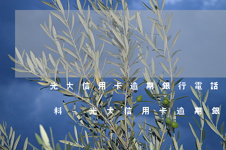 光大信用卡逾期銀行電話核實(shí)資料-光大信用卡逾期銀行電話核實(shí)資料是真的嗎