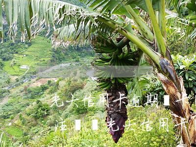 光大信用卡逾期銷卡還能恢復(fù)嗎-注銷過光大信用卡還能申請嗎?