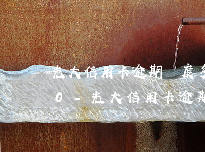 光大信用卡逾期額度多出來(lái)300-光大信用卡逾期額度多出來(lái)3000怎么辦