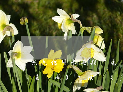 光大信用卡逾期額度變0(光大信用卡逾期額度變成0,有恢復(fù)額度的嗎)