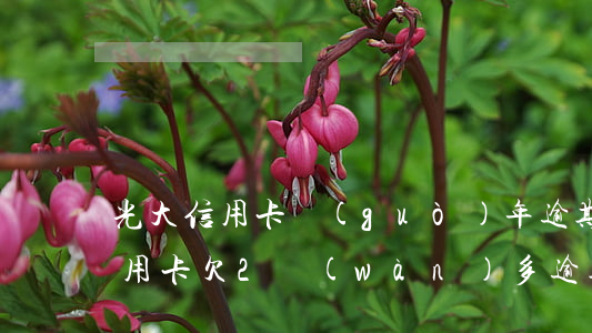 光大信用卡過(guò)年逾期4天(光大信用卡欠2萬(wàn)多逾期半年)
