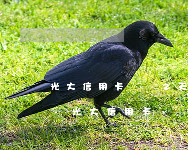 光大信用卡遲還2天有沒(méi)有逾期-光大信用卡遲還2天有沒(méi)有逾期影響