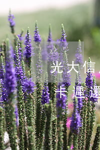 光大信用卡遲還2天有沒有逾期-光大信用卡遲還2天有沒有逾期影響