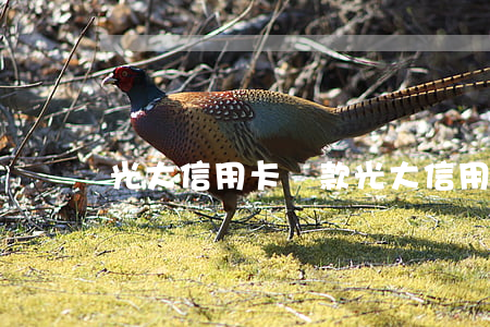 光大信用卡還款(光大信用卡還款)