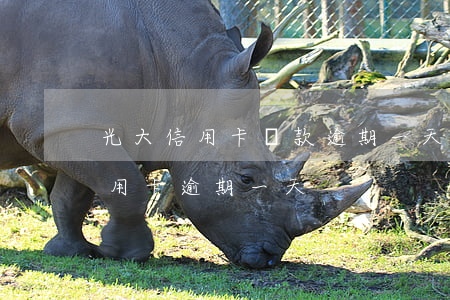 光大信用卡還款逾期一天影響征信-光大信用卡 逾期一天