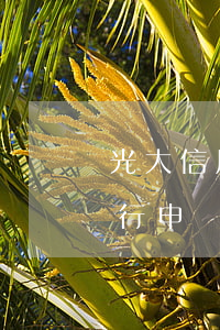 光大信用卡還款逾期會怎么樣(有逾期光大銀行申請信用卡能通過嗎)