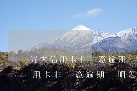 光大信用卡非惡意逾期證明怎么開-光大信用卡非惡意逾期證明怎么開具