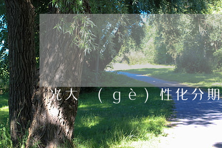 光大個(gè)性化分期首付