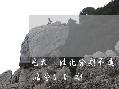 光大個性化分期不通過-光大個性化分期可以分60期嗎
