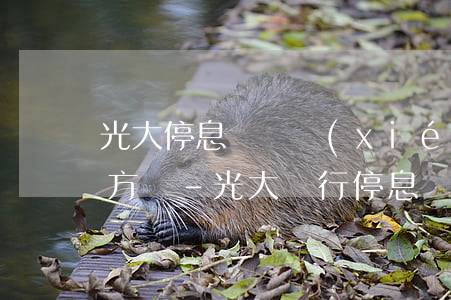 光大停息掛賬協(xié)商需要通過第三方嗎-光大銀行停息掛賬銀行會同意嗎