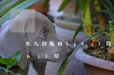 光大到賬時(shí)間-光大入賬時(shí)間