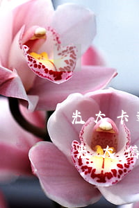 光大卡逾期一年会怎么样（光大薪期逾期影响光大信用卡吗）