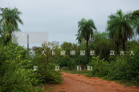 光大卡逾期最低還款(光大信用卡逾期一天最低還款會有影響嗎)