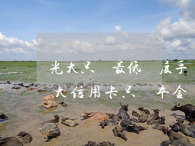 光大只還最低額度手續(xù)費要多少（光大信用卡只還本金）