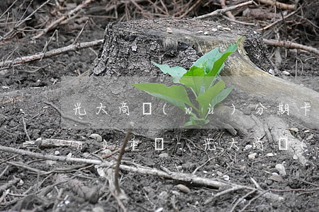 光大商務(wù)分期卡逾期半年嚴(yán)重嗎-光大商務(wù)分期卡逾期半年嚴(yán)重嗎怎么辦