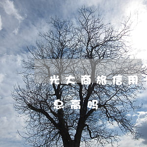 光大商旅信用卡利息-光大银行的信用卡利息高吗