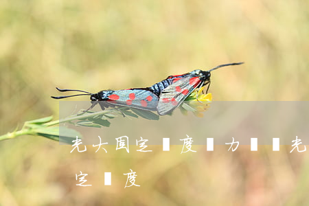 光大固定額度無力償還(光大app顯示提固定額度)
