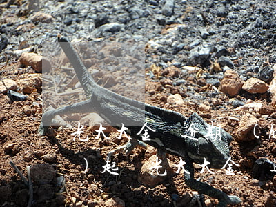 光大大金額逾期會(huì)不會(huì)起訴(光大大金額逾期會(huì)不會(huì)起訴)